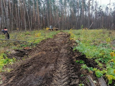 Дорога к поликлинике - 1.jpg